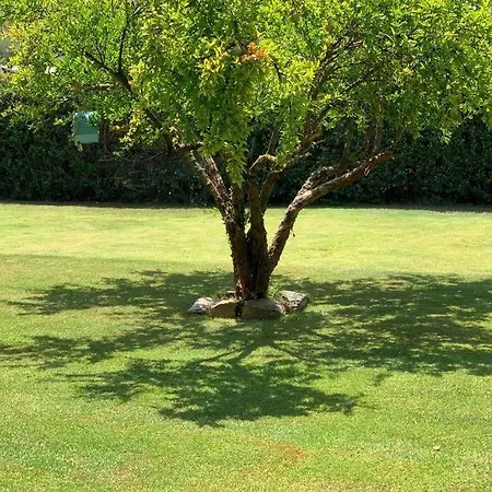 Casa Chia A 5 Minuti Dal Mare - Su Giudeu Tuerredda Villa Exterior photo